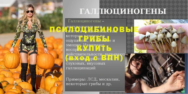 шишки Киреевск