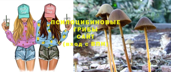 альфа пвп Кинешма