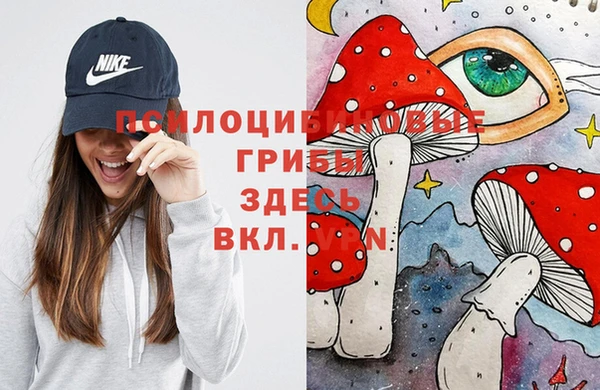 альфа пвп Кинешма