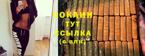 шишки Киреевск