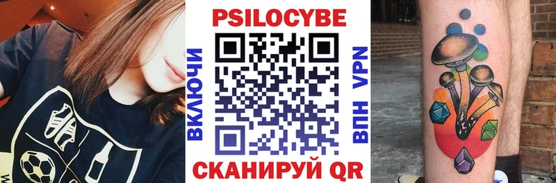 Псилоцибиновые грибы Cubensis  Юрюзань 